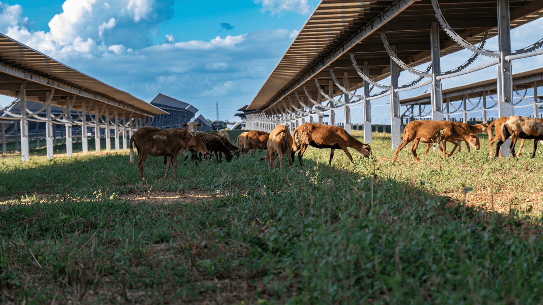 Medidas Ecológicas