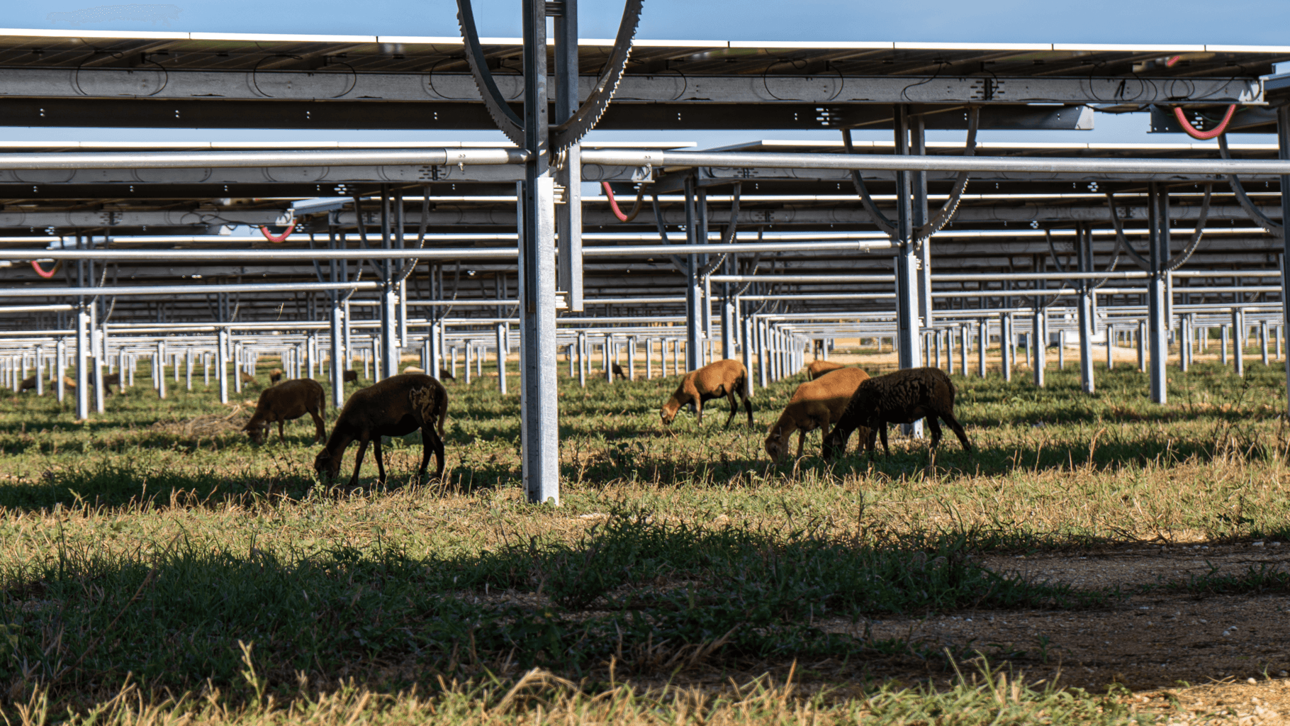 Medidas Ecológicas